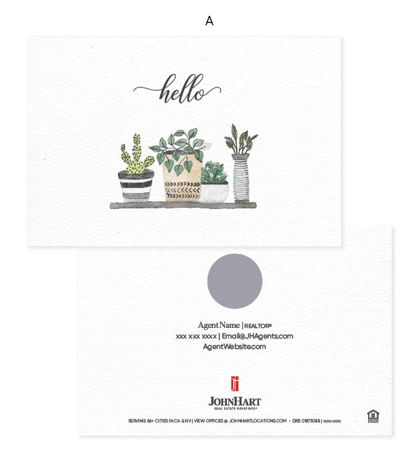 Hello- Succulent Pots