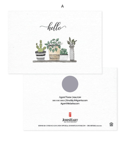 Hello- Succulent Pots